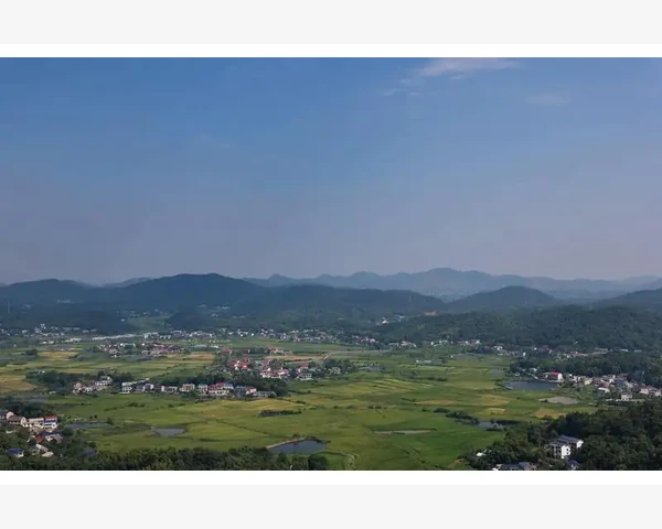 学校会计人员任职条件与实务操作规范