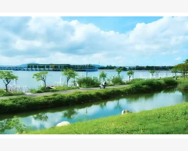 冒虚汗气血不足：了解中医视角下的不适症状